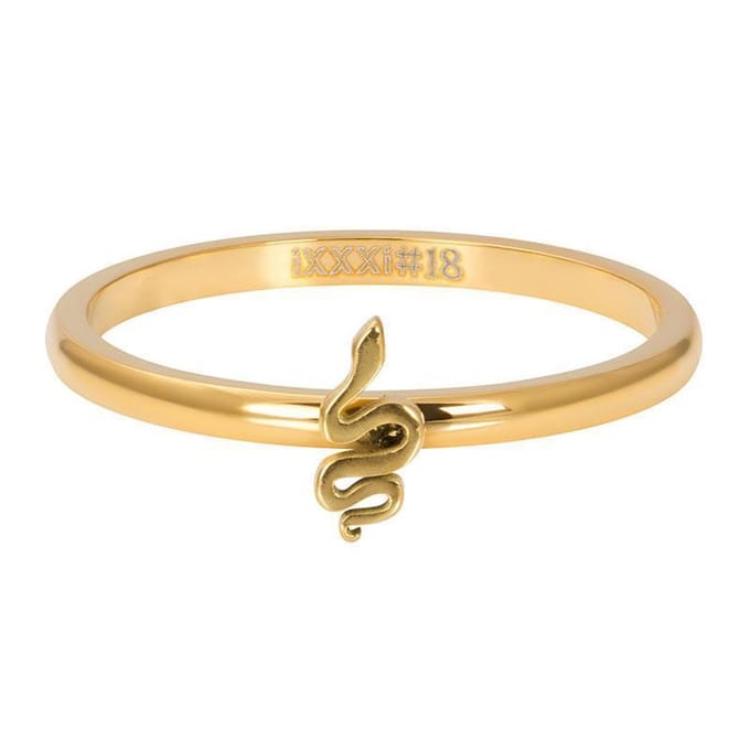 iXXXi Ring Symbol Snake Goud | Maat 19