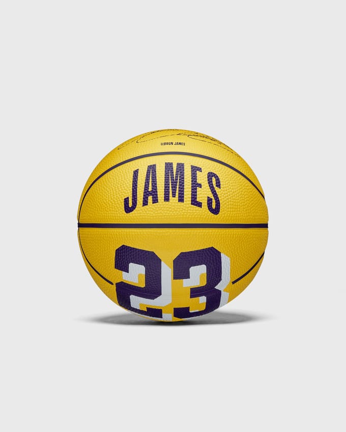 NBA PLAYER ICON MINI BASKETBALL LEBRON NEW SIZE 3