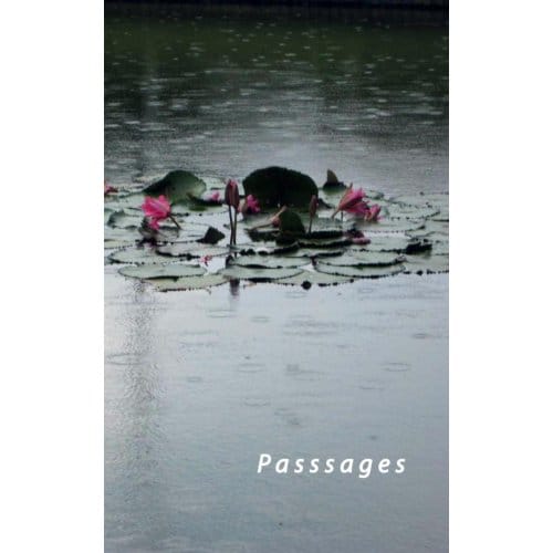 Passages - Gemma Pappot