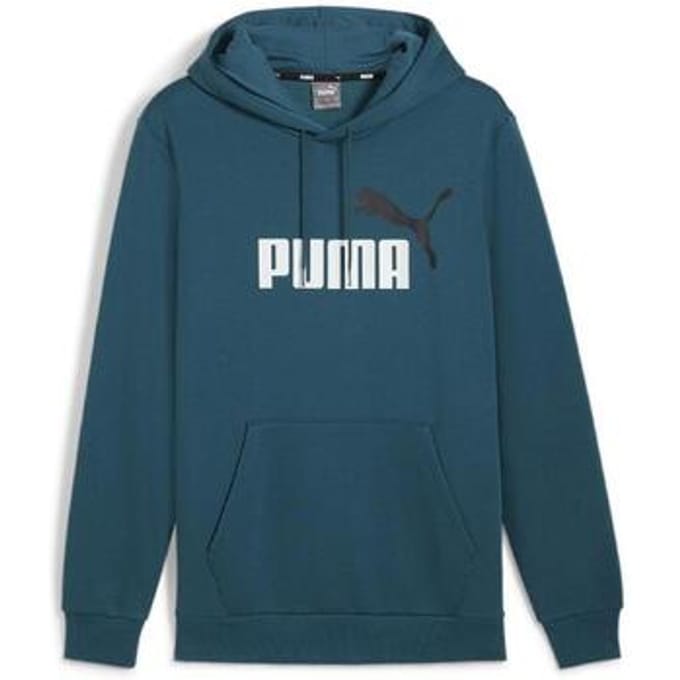Puma Essentials Big Logo heren hoodie groen - Maat S