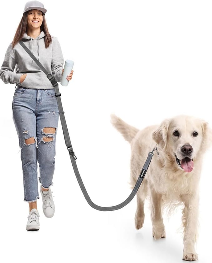 Hands-Free Hondentuig - Verstelbare Lijn - Honden Uitlaten - Reflecterende Strips - 2.9 Meter - Grijs