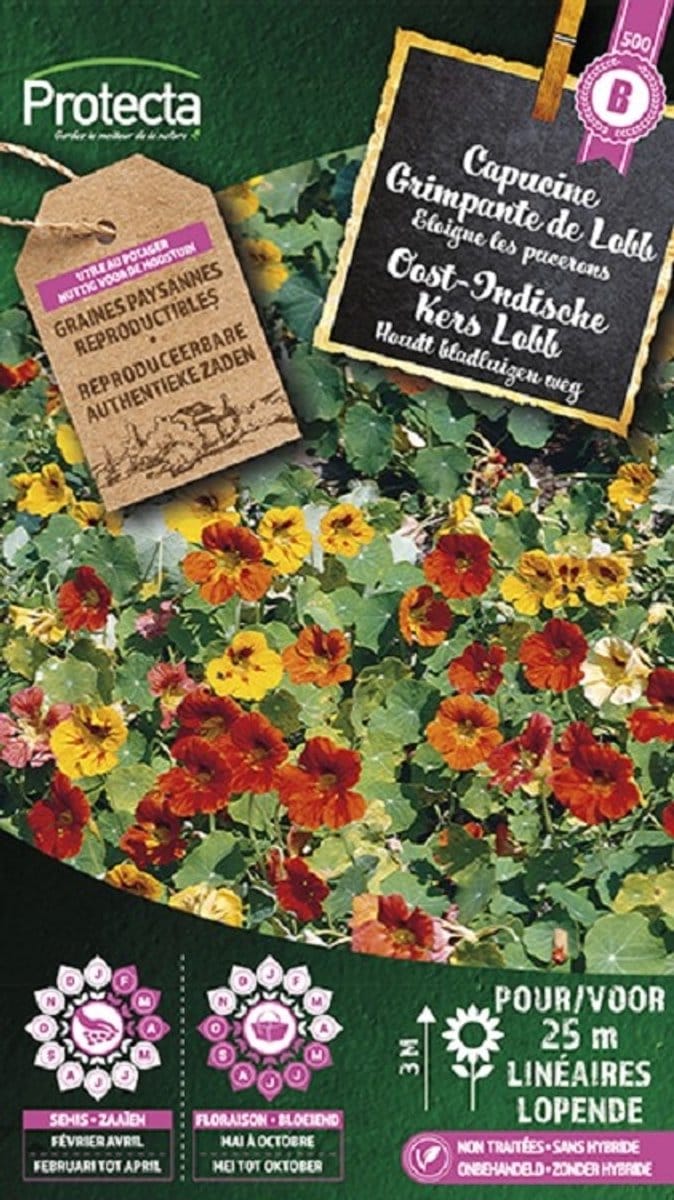 Protecta Bloemen zaden: Oost-Indische Kers Lobb gemengd | Kapucijnbloem