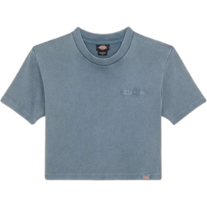 Dickies Plentywood T-shirt Met Korte Mouwen Grijs S Vrouw