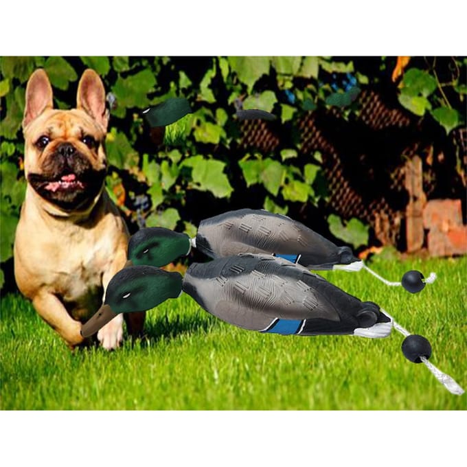 Imiteert Dode Eend Bumper Speelgoed Voor Training Puppy's Jachthonden Leert Wilde Eend Watervogel Wild Ophalen Hondentrainingsspeelgoed black
