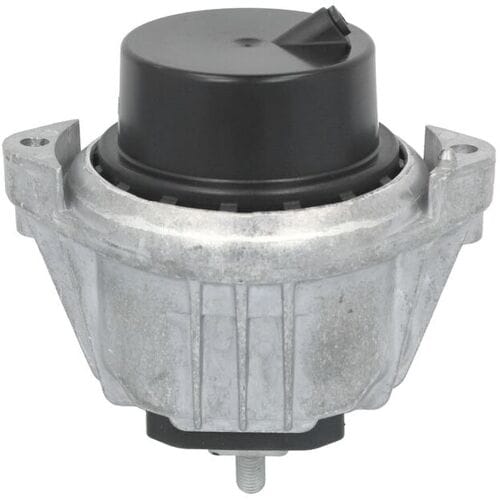 Motorsteun REINHOCH RH11-3173