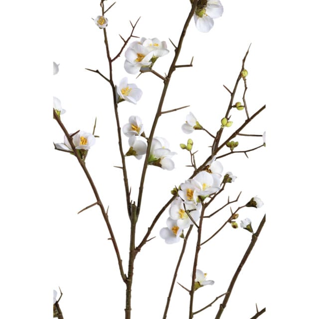 PTMD Kunstbloem Kersen - 81x79x137 cm - Polyester - Wit