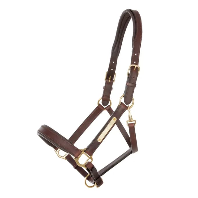 Halsband voor paard Kavalkade Cinta