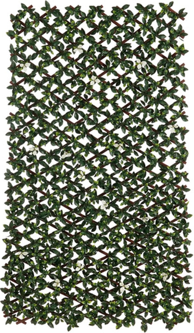 Mica Decorations Buxus Mat - 200 x 100 x 8cm - Groen