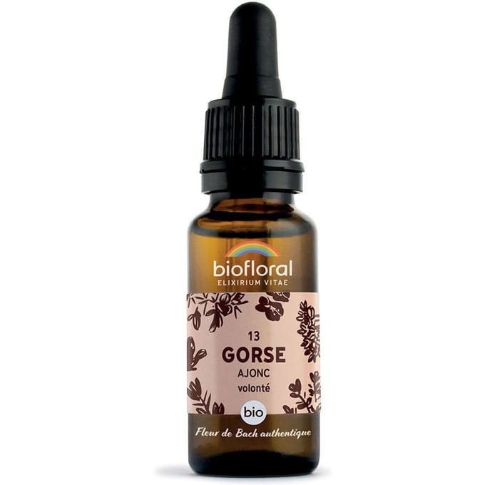 Biofloral- 13 - Gorse - Gaspeldoorn - Bio - Bio Demeter - 20 ml