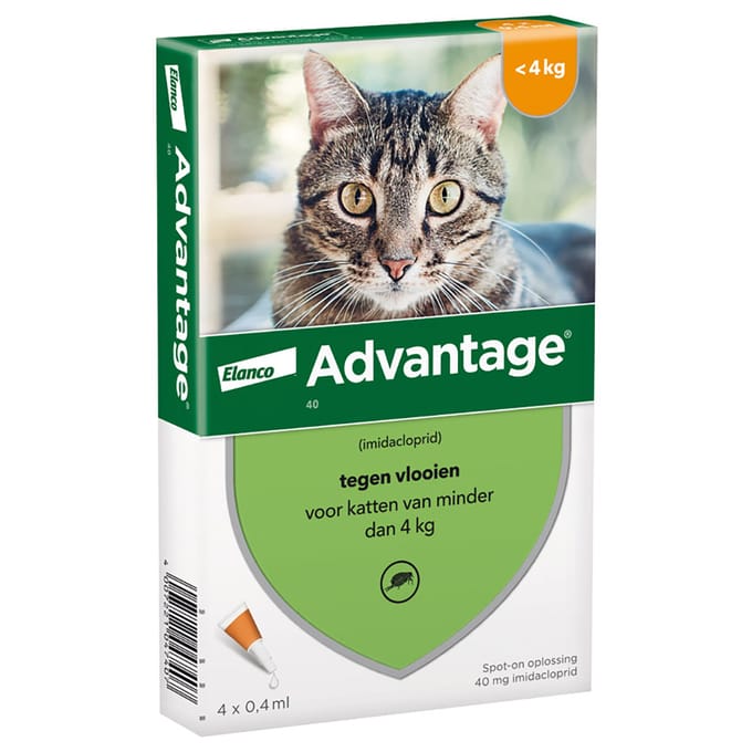 4 Pipetten AdvantageÂ® 40 voor katten van minder dan 4 kg - BE