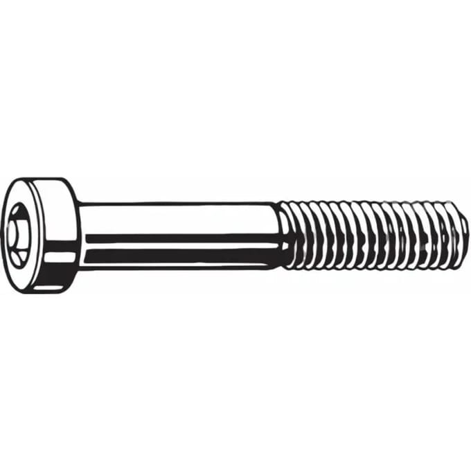 Paar achterste remklauwschroeven TRP flat mount - inox - 17mm