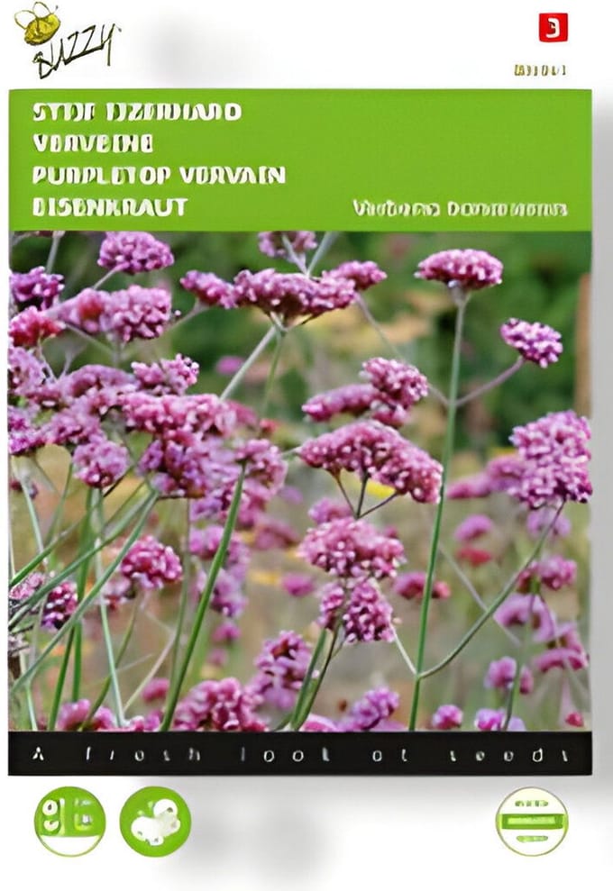 Buzzy - Zaden verbena stijf ijzerhard 0.4 gram