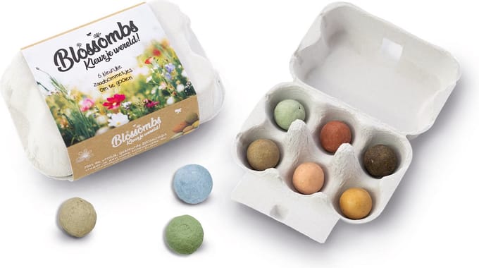 Blossombs Bloembommetjes Eierdoosje - 6 Zaadbommetjes - Cadeau