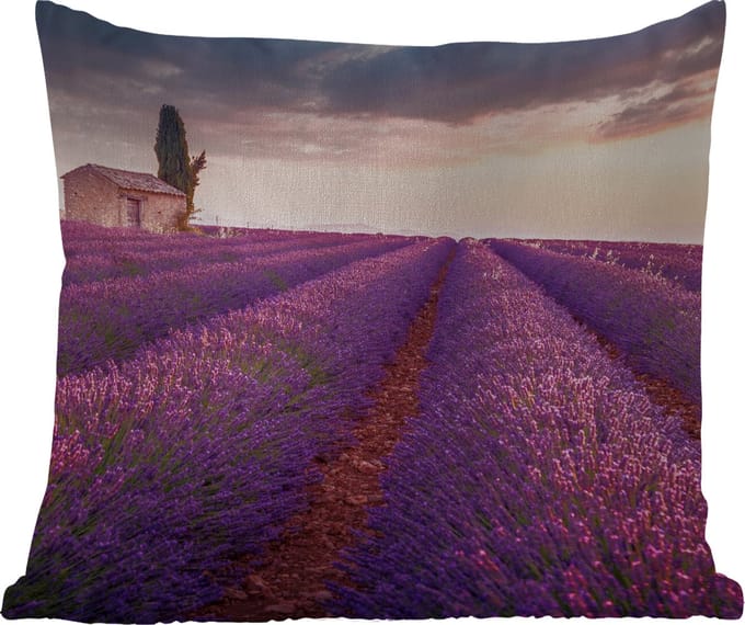 Tuinkussen - Lavendel - Bloemen - Paars - Veld - 40x40 cm - Weerbestendig