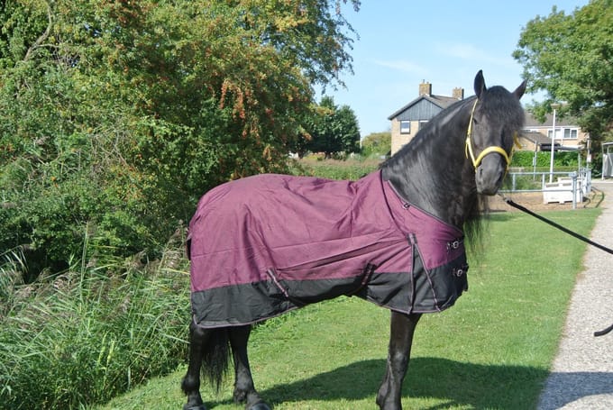 Regendeken de luxe 300 gram Zwart/wine red