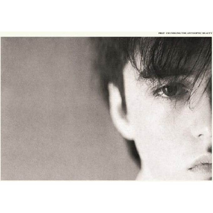 Crumbling The Antiseptic Beauty (Deluxe Remastered Gatefold Sleeve Vinyl Edition)