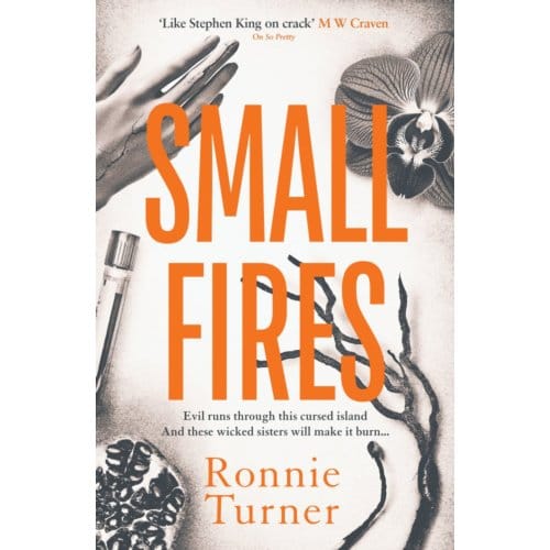 Small Fires - Ronnie Turner