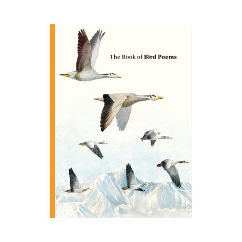 The Book Of Bird Poems - Ana Sampson