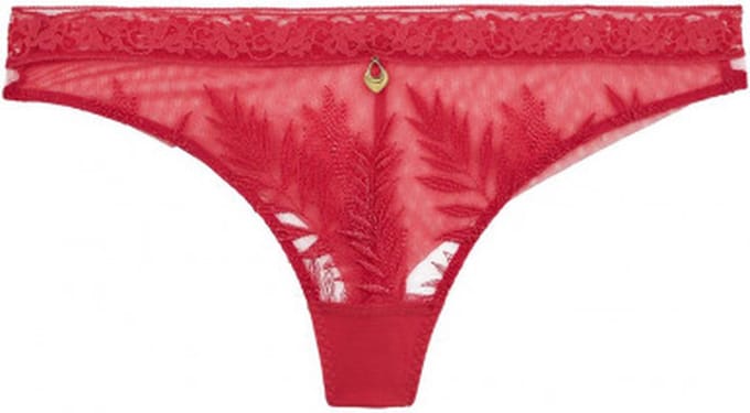 Aubade Parenthese Tropic String LB26 JOY - maat 40
