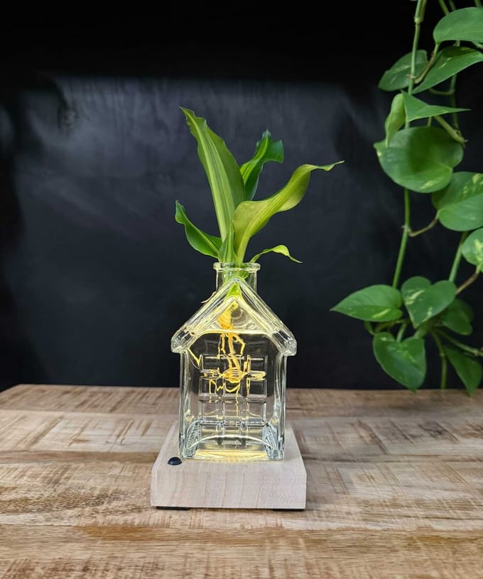 Intenz | Oslo | Glazen huisje met plant op water | Dracena