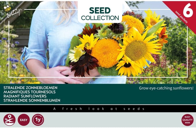 Buzzy Collection Kweekset 6 Stralende Zonnebloemen - 1 set