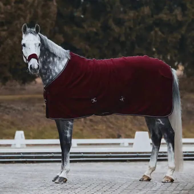 Paardenvacht Horze Kiel