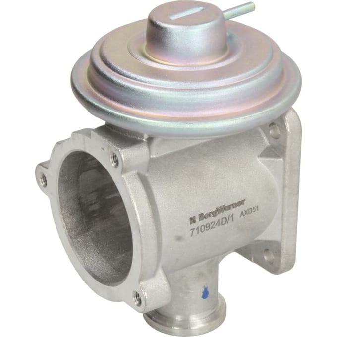 Borg Warner EGR-klep WAHLER 710924D