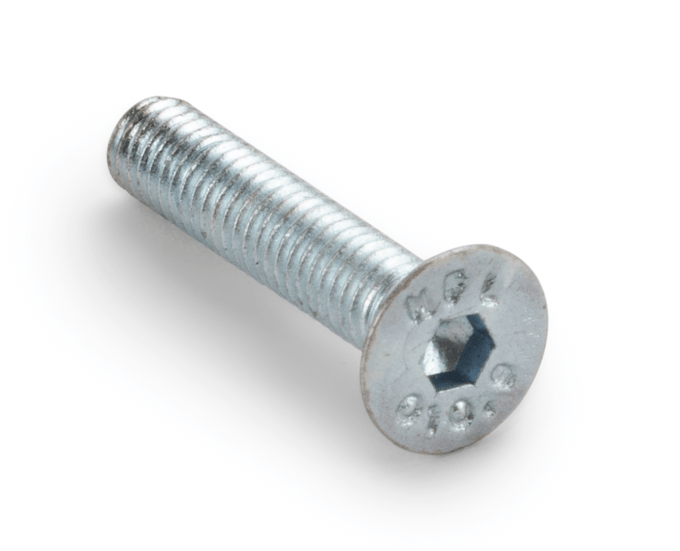 Screw