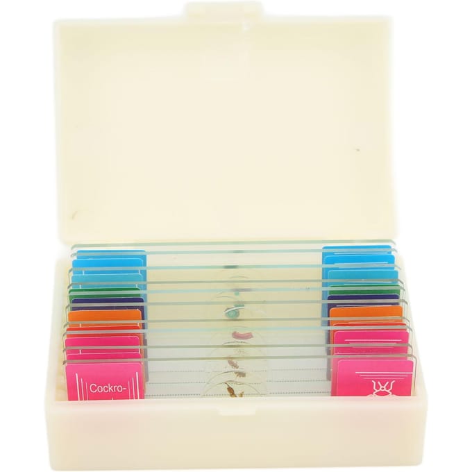 10 stuks Microscoopplaatje Biologisch Plaatje Specimen Geslepen Rand Zeer Transparant voor Kinderen en beige