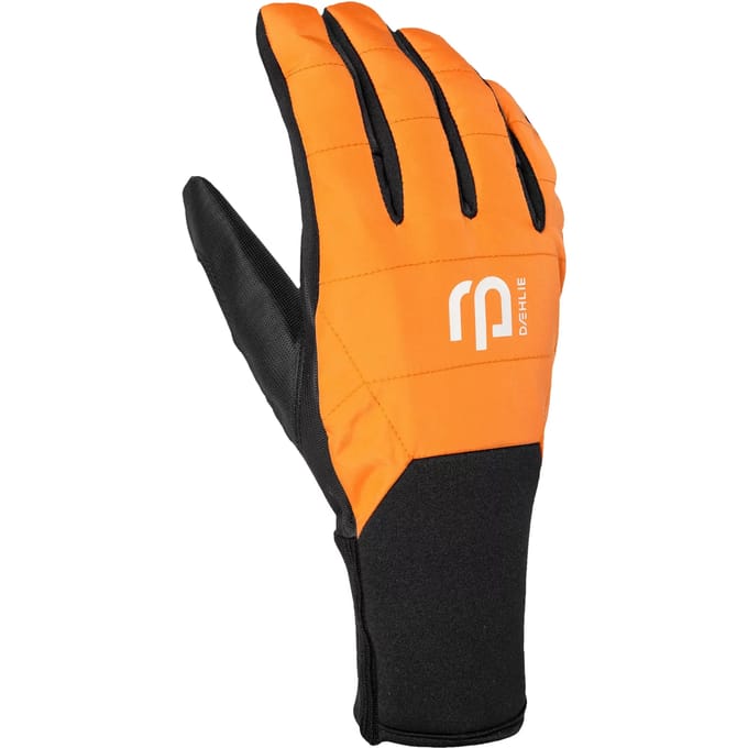 Skihandschoenen Daehlie Sportswear Pace