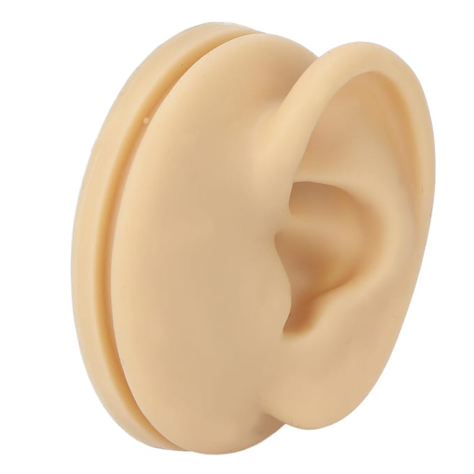 Modèle d'oreille gauche en silicone souple, modèle de pratique d'acupuncture de l'oreille, modèle d'affichage de simulation d'oreille beige