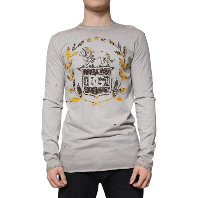 Versleten Leeuwenschild Langemouwen T-shirt