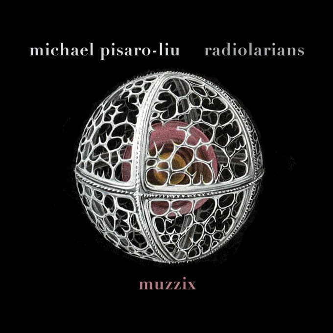 Muzzix - Michael Pisaro-Liu: Radiolarians (CD)