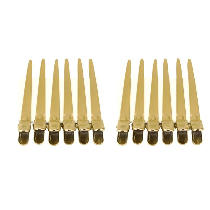 12pcsBoîte Pinces à Cheveux Coiffure Salon de Coiffure Séparation Épingles à Cheveux pour Coiffure de Salon Or noir