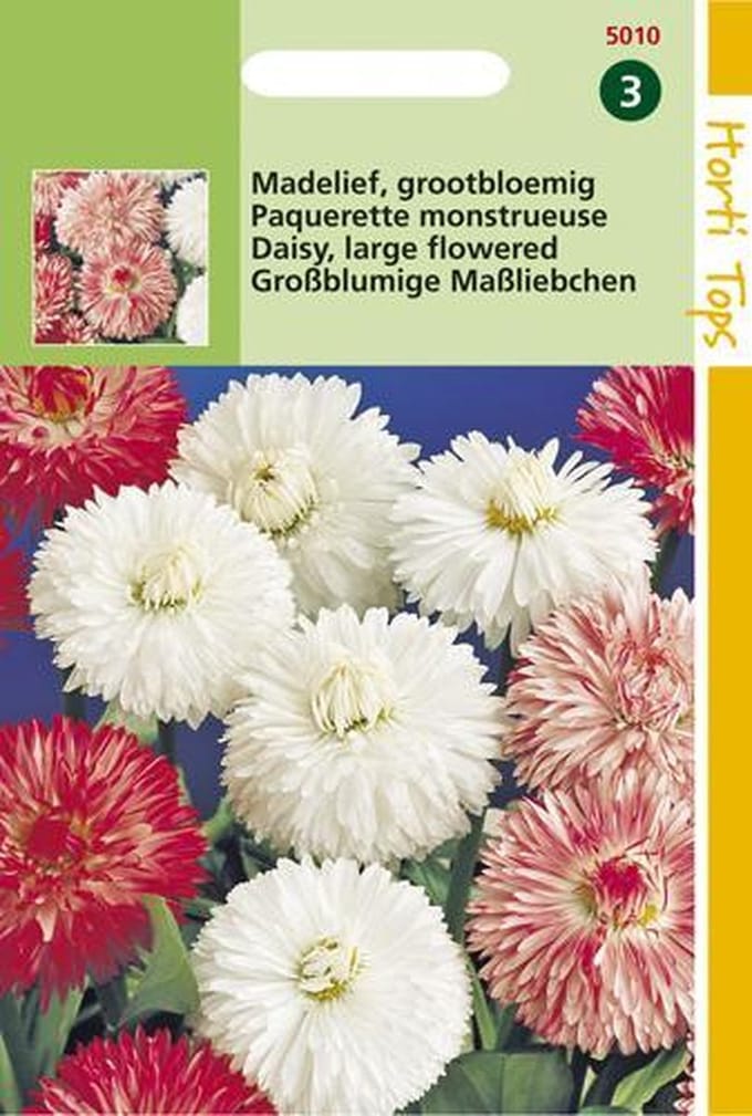 Hortitops Zaden - Bellis Perennis Monstrosa Gemengd