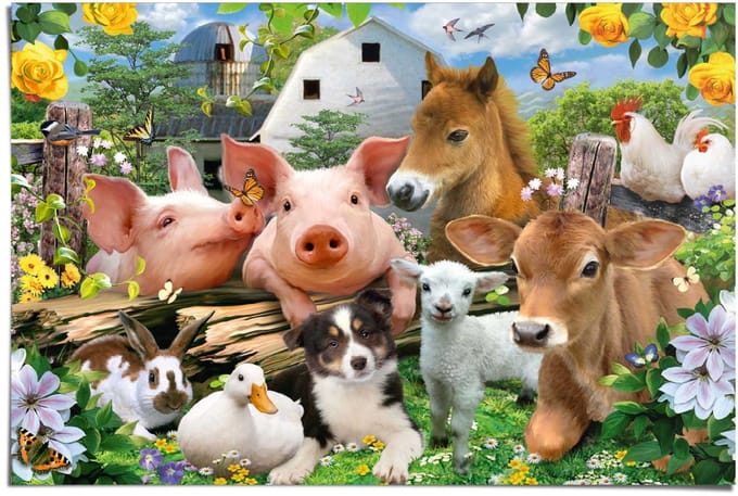 Poster Boerderijdieren - 61 x 91,5 - Papier - REINDERS