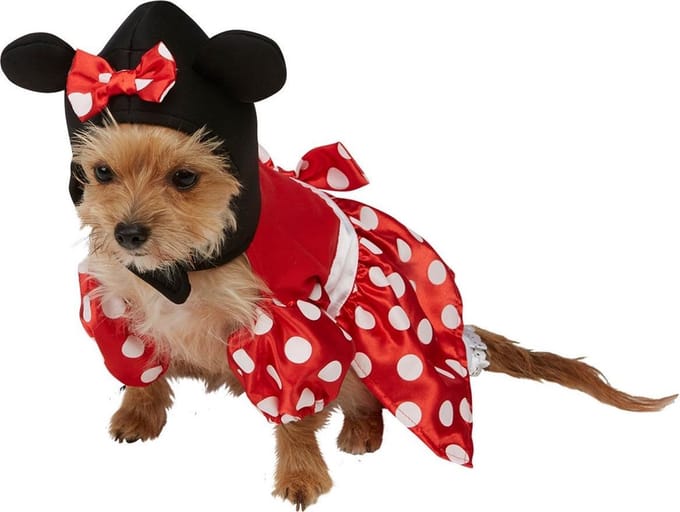 Minnie Mouse™ hondenkostuum - Verkleedattribuut