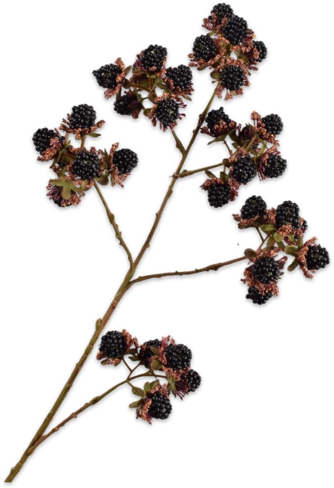 Silk-ka Kunstbloem-Zijden Bloem-Bramentak Zwart-Bruin 78 cm