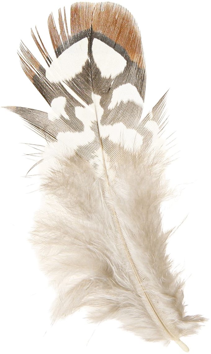 Fazantenveren voor knutselprojecten, bruin gespikkeld, 4-9 cm, 60 stuk