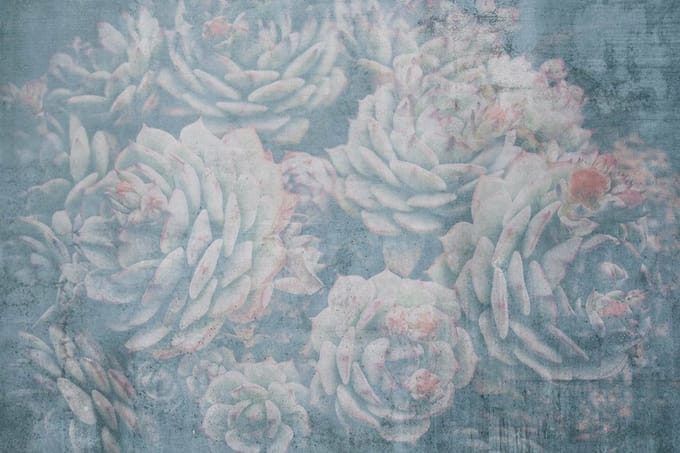Fotobehang - Aloe Abstract 375x250cm - Vliesbehang