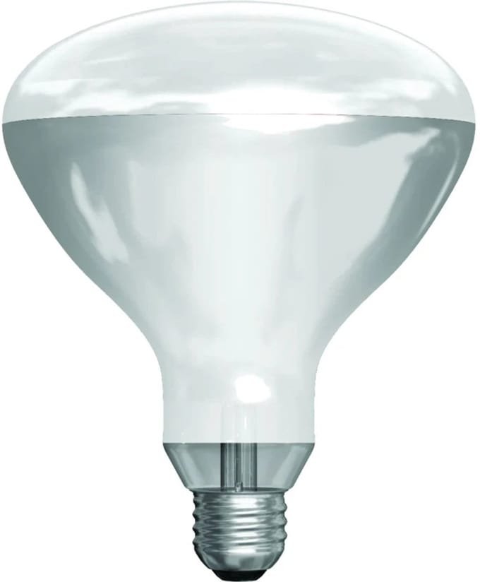Schiefer E27 Infrarood Lamp | 300W 220V/240V R125