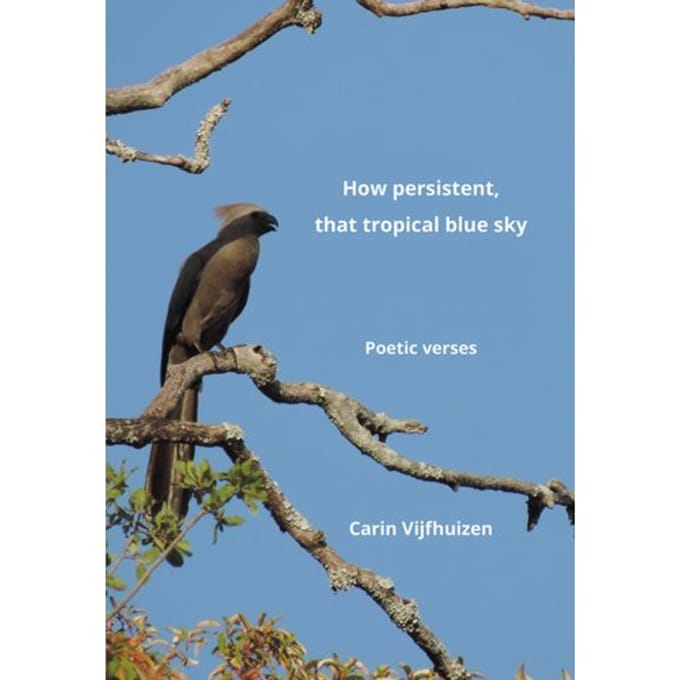 How Persistent, That Tropical Blue Sky - Carin Vijfhuizen