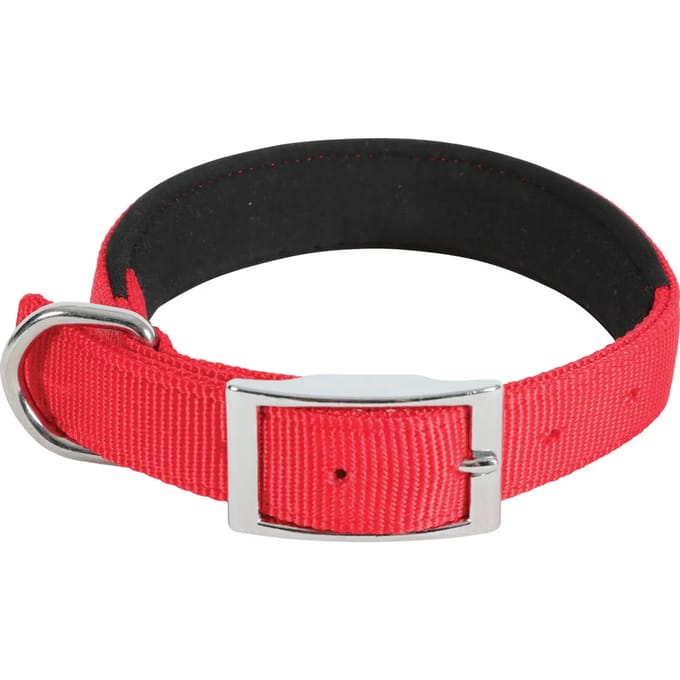 Hondenhalsband Zolux