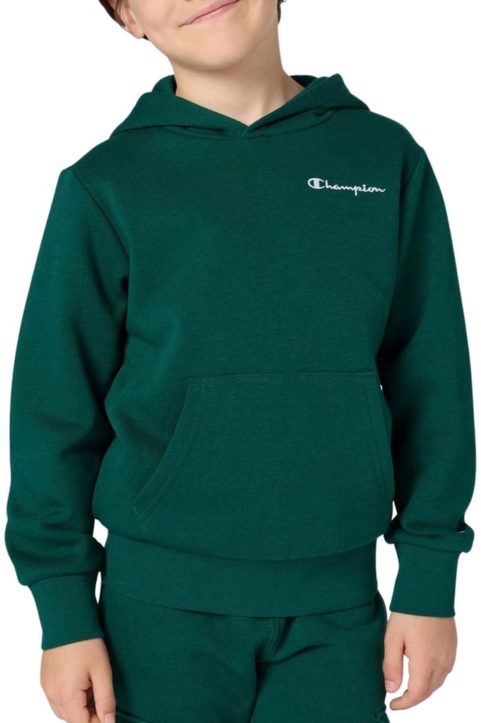 Champion Icons Small Logo Hoodie Junior - Maat M