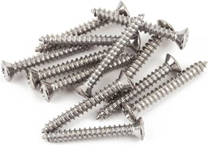 Fender 21422049 Chromen Brugmontageschroeven - Set van 12