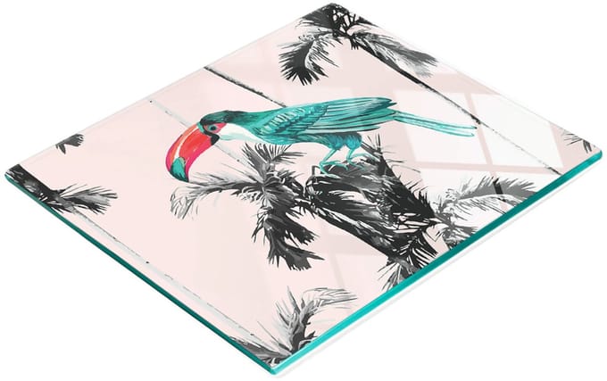 Gehard multifunctioneel decoratief bord van glas met toekanmotief - vogel 60x52 cm