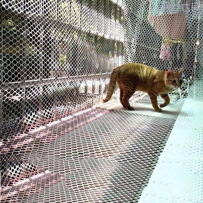 Kattenveiligheidsnet - Balustrade net - Veiligheid Buiten - Transparant - Op Maat - Helder
