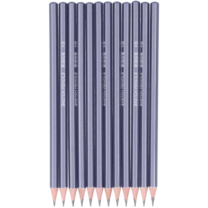 12 Pièces Crayons Graphite Crayons Professionnels Durs Set de Dessin pour Croquis Graffiti Design gray