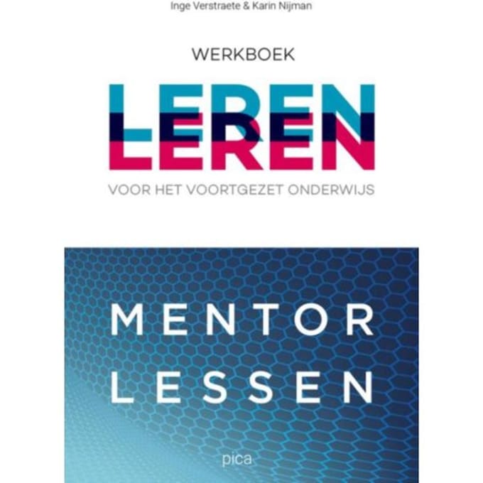 Mentorlessen / Werkboek - Inge Verstraete