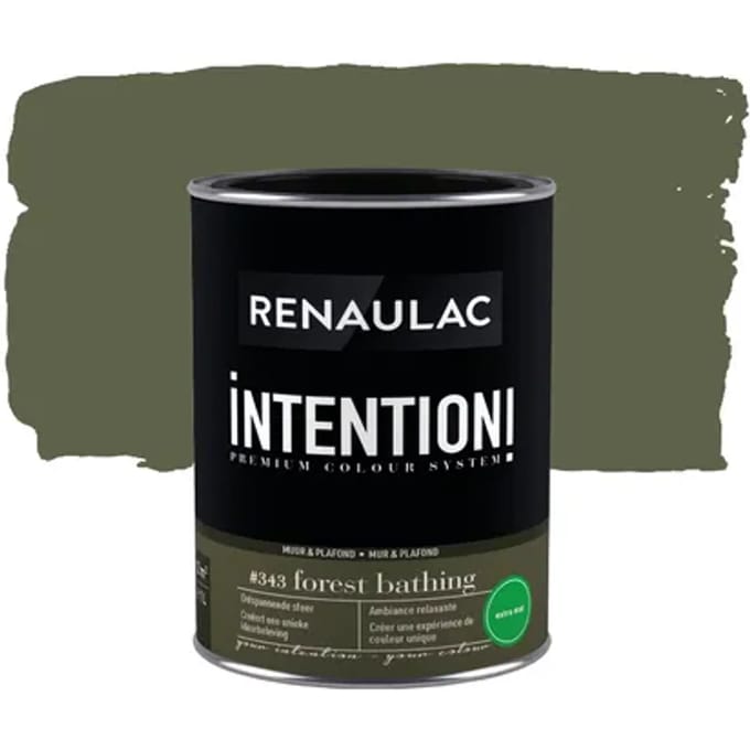 Renaulac Intention Muurverf - Extra Mat - Forest Bathing - 1l
